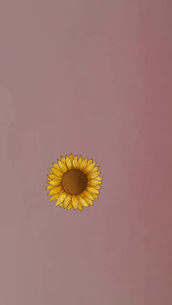 @N๐๐ค