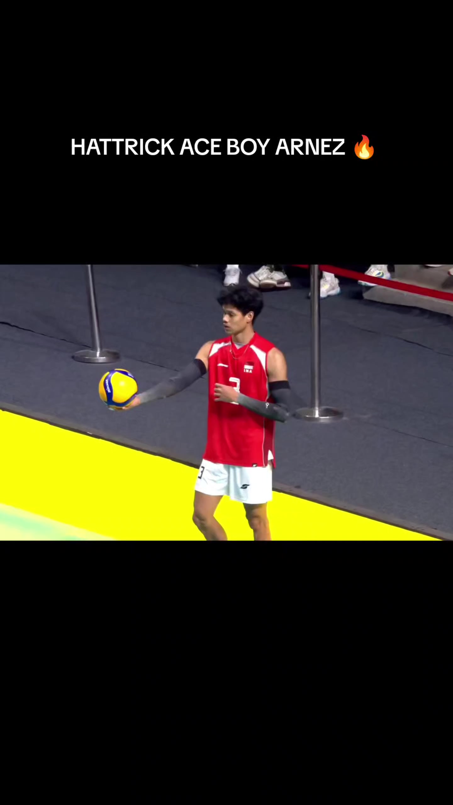 @라니아-Volleyball