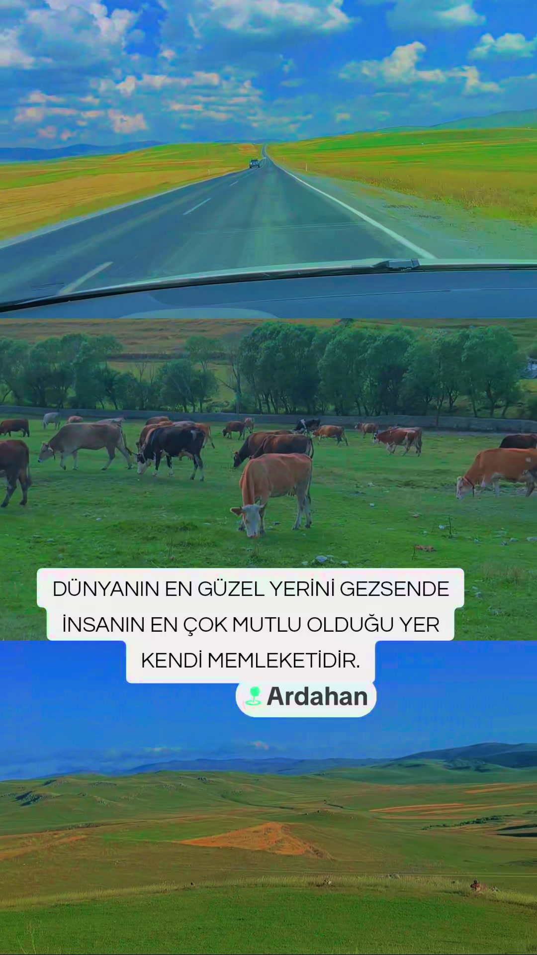 @Caner