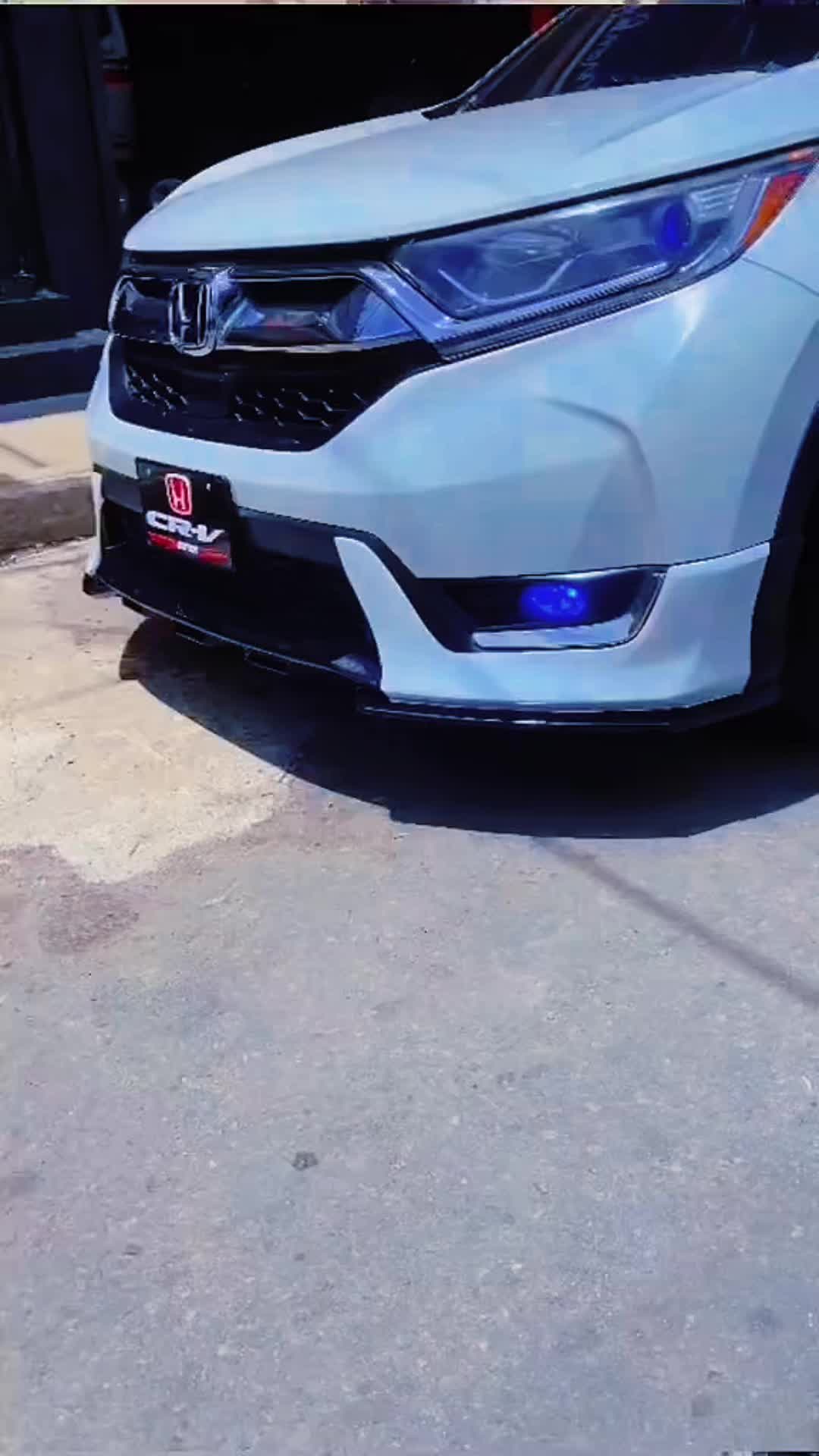 @Labellanatird