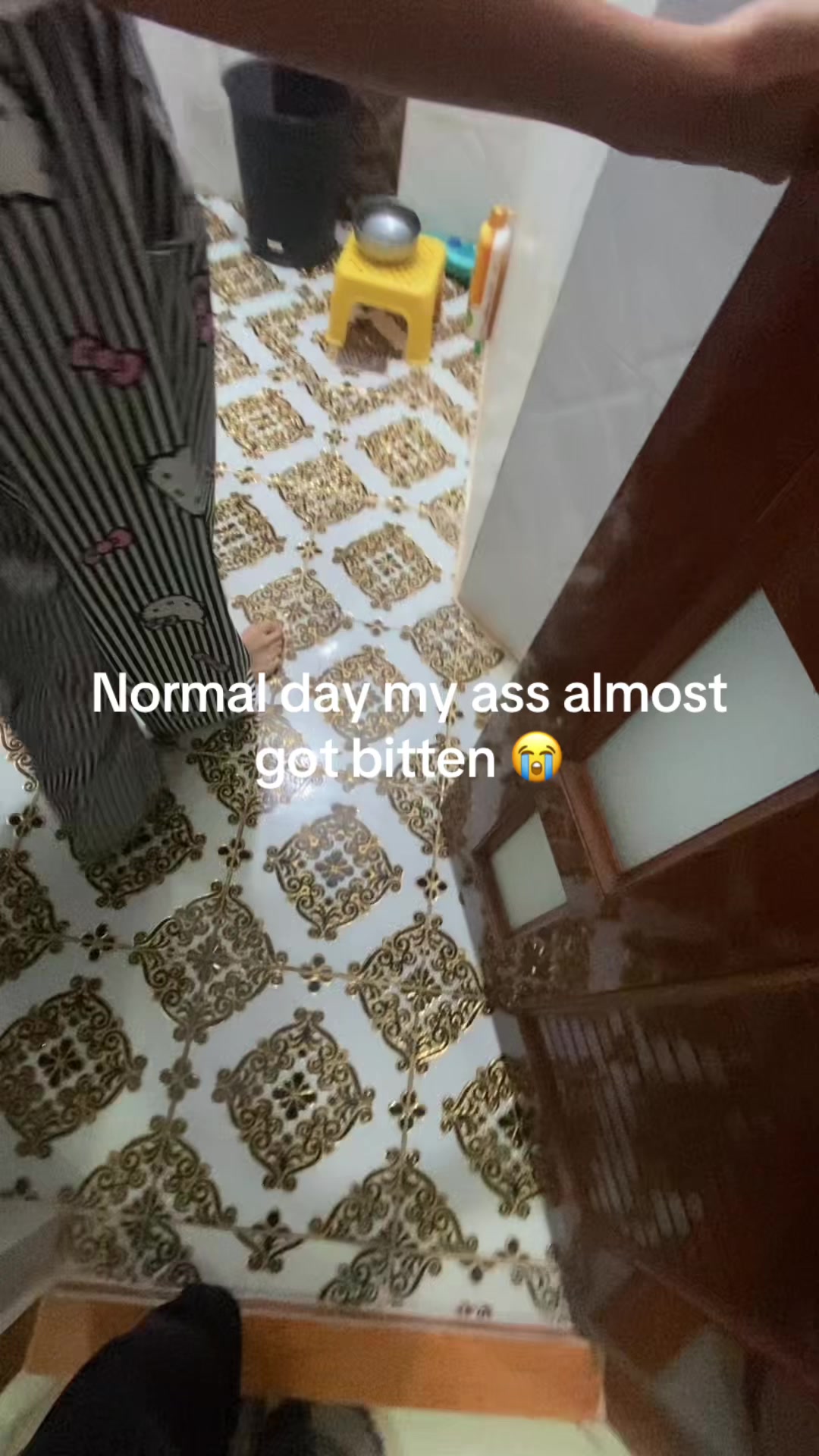 @Reiiikii🪽