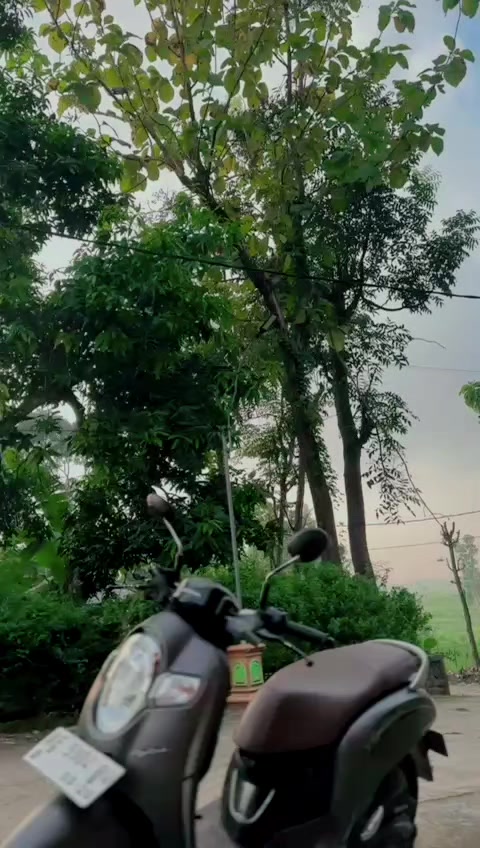 @mamanya rayzen🥰