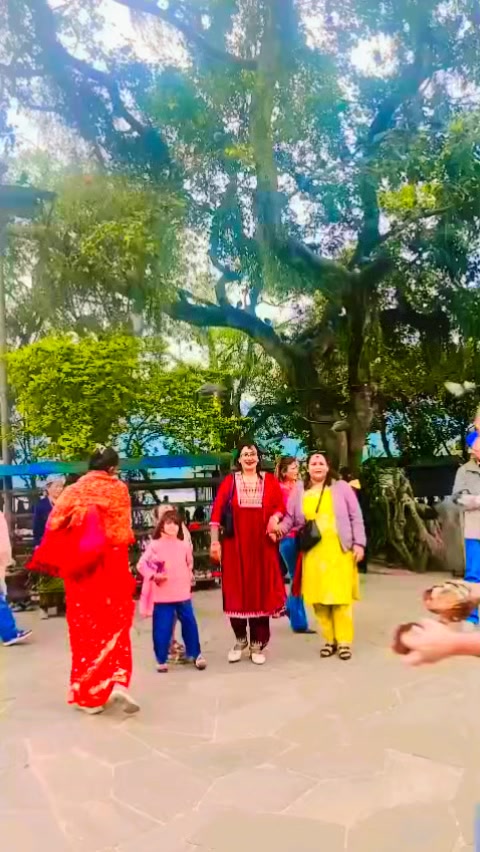 @Alisha Pokharel
