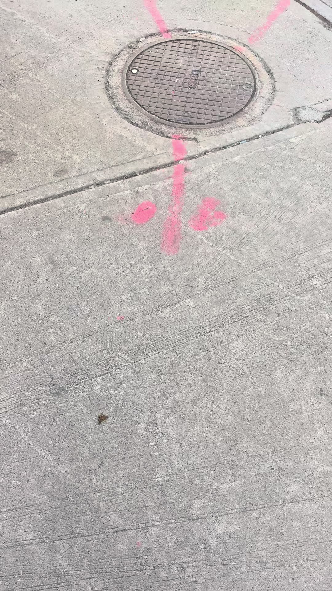@Ely