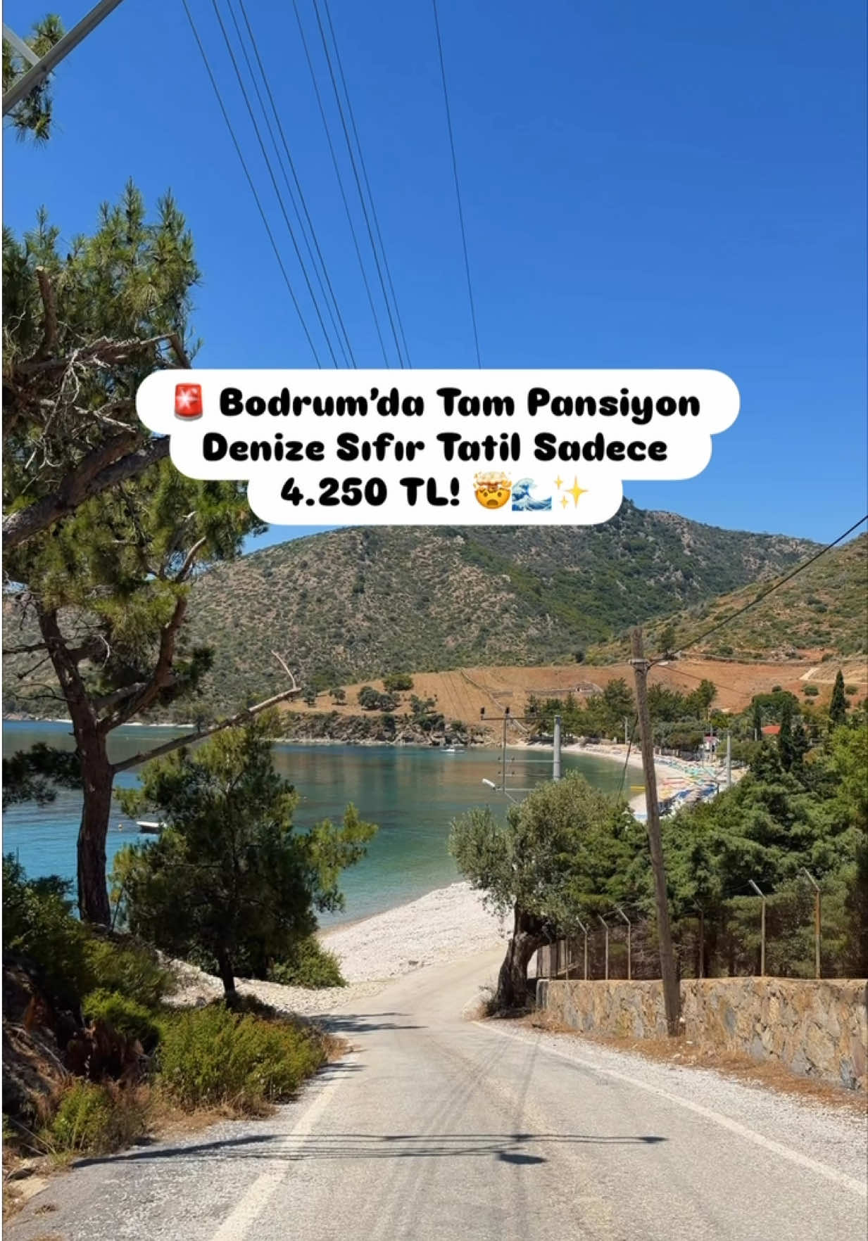 @Abdullah Şahin