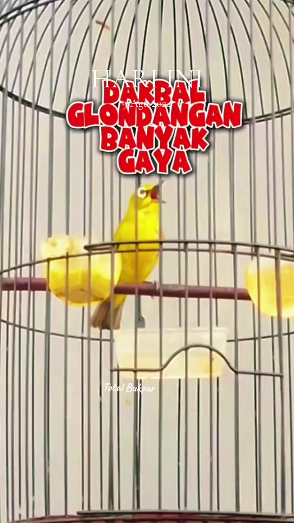 @totalbukpar