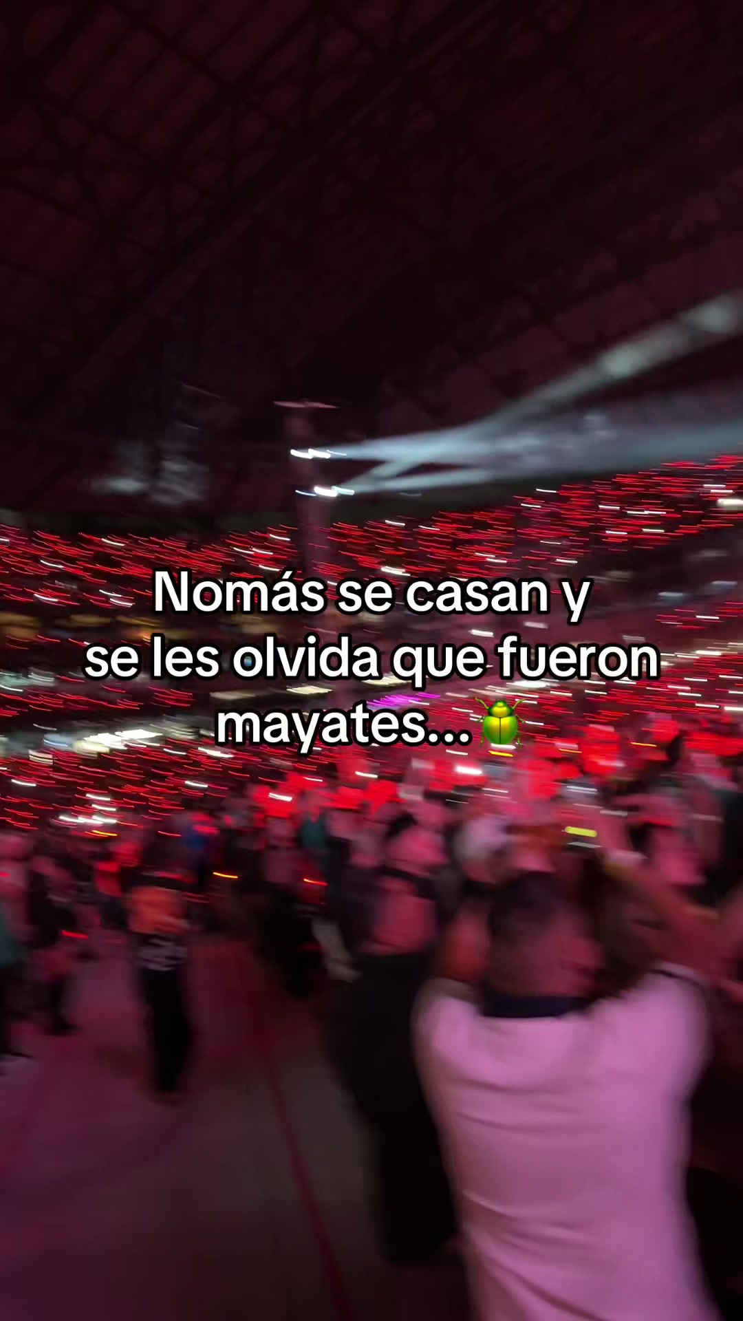 @Brissa Aranda