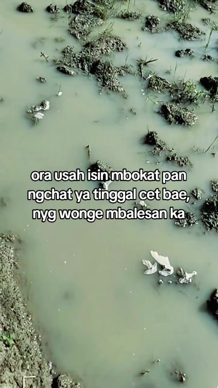 @D4nzz_