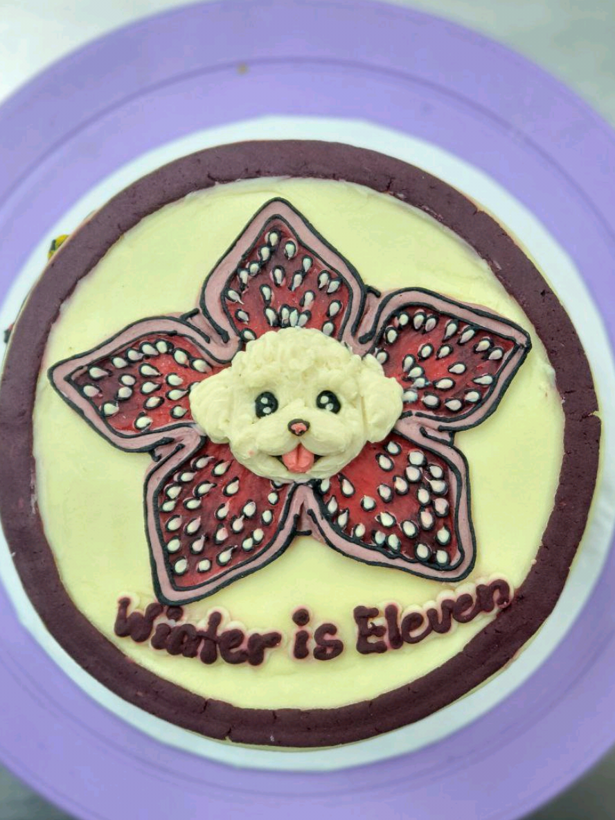 @makeandbakeforpets