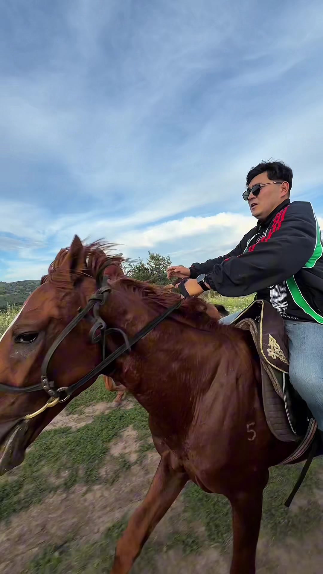 @tulpar_horses