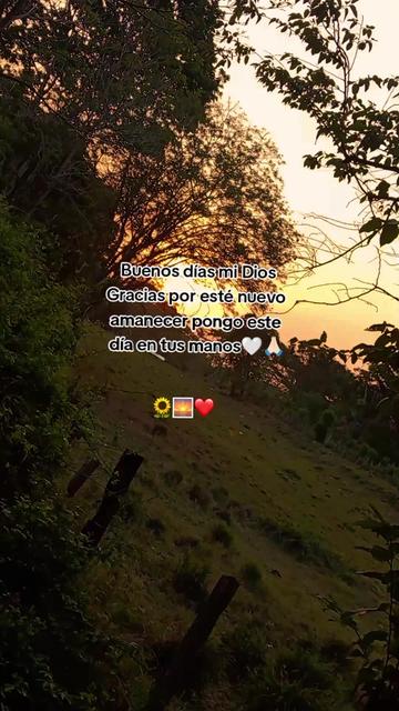 @🩷 Alessi&aacute;🐻&zwj;❄️🎀