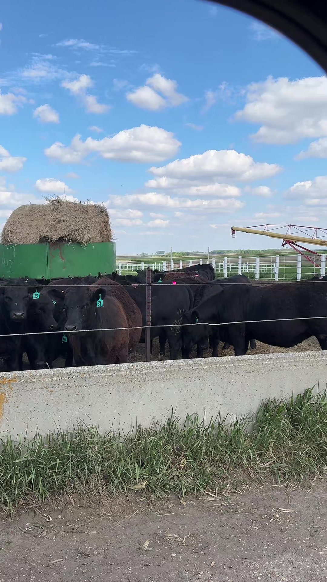 @Vos-Cattle-Co