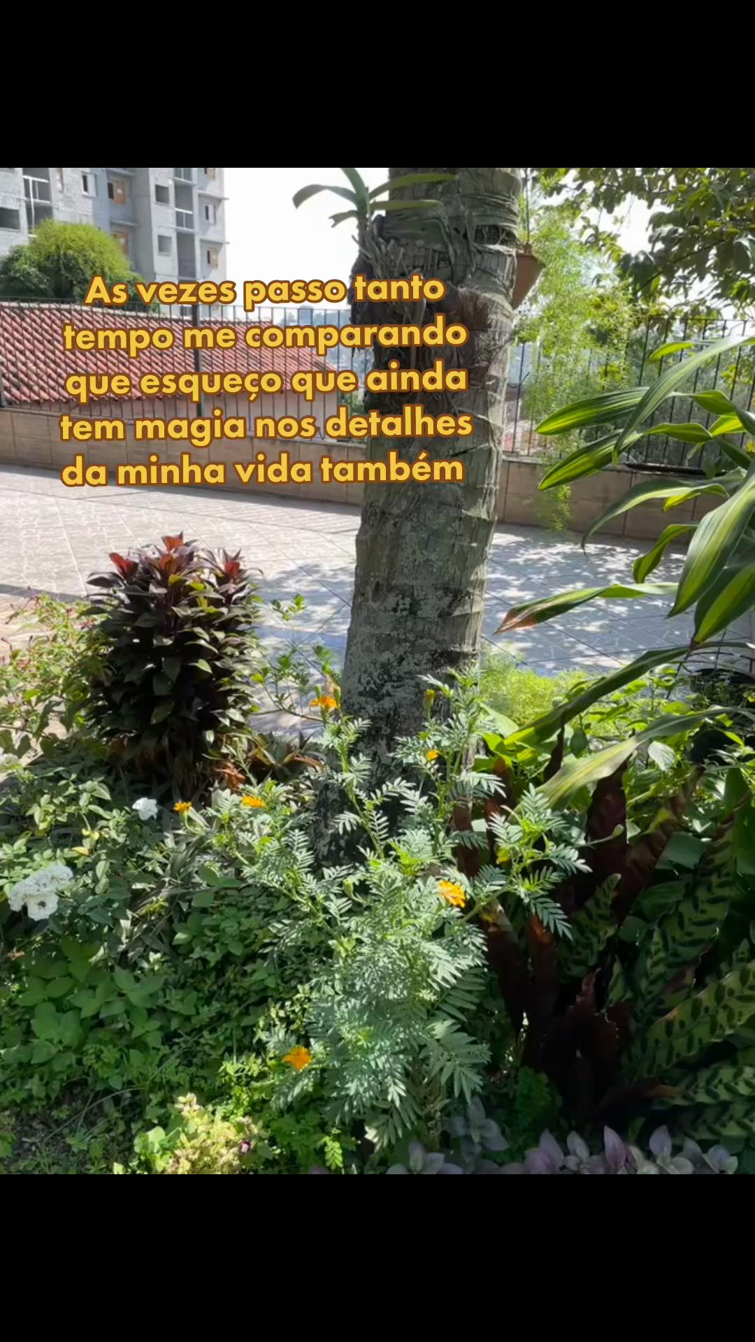 @Batriz