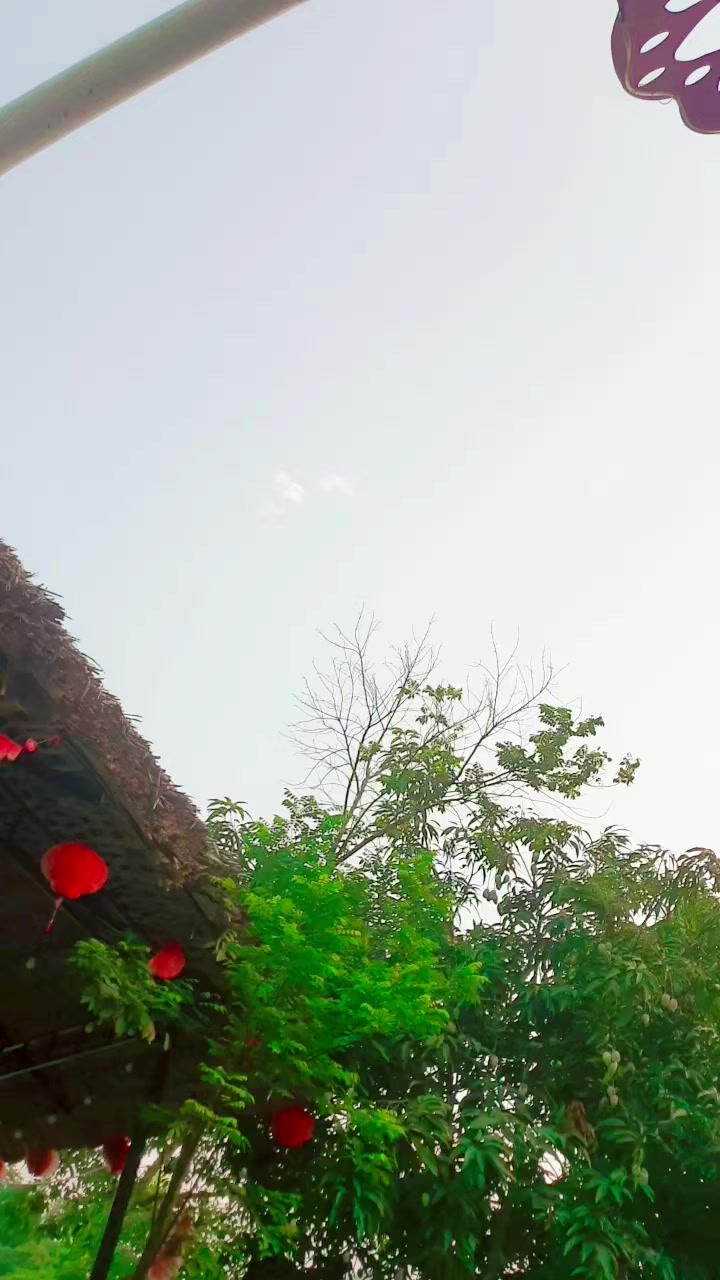 @T&iacute;t LC6880