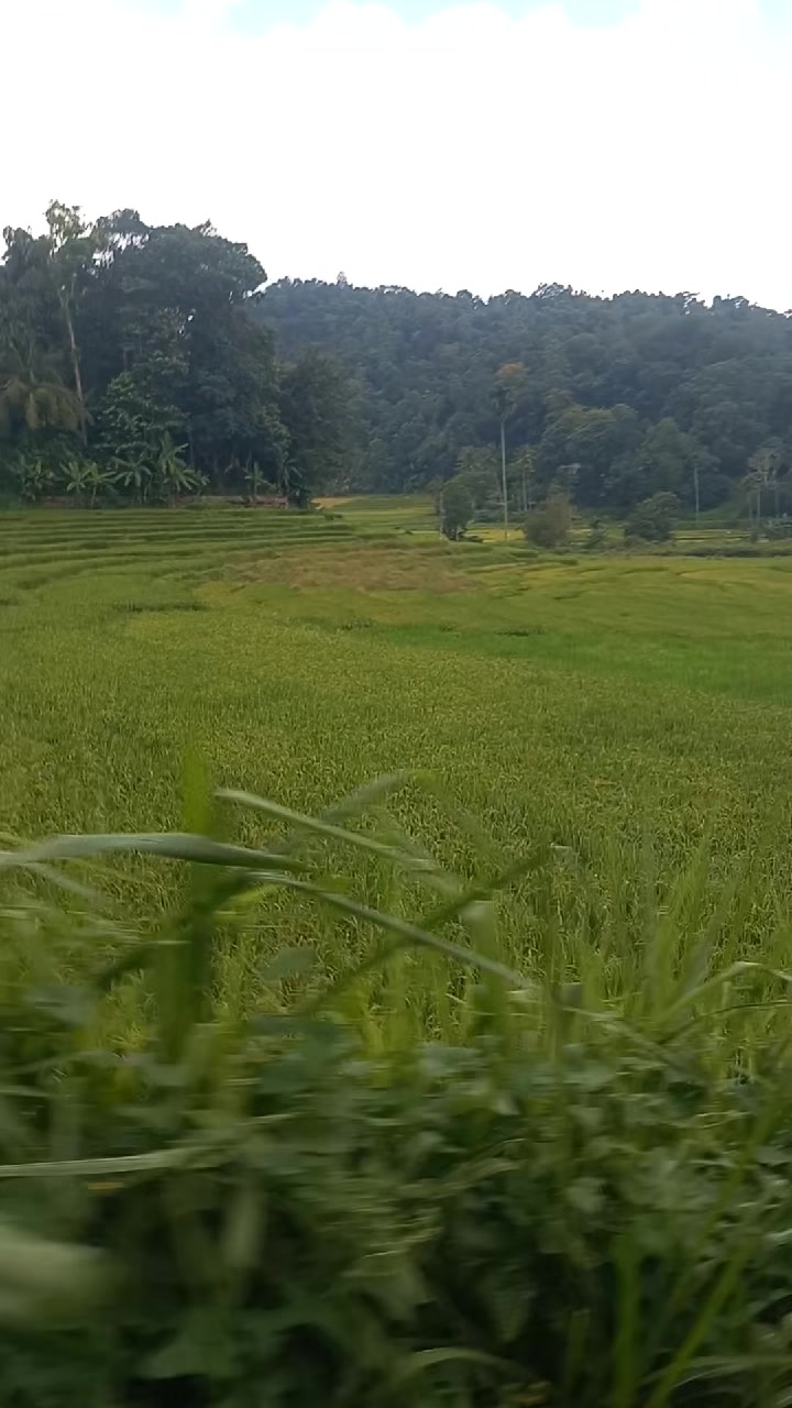 @rohanakumar