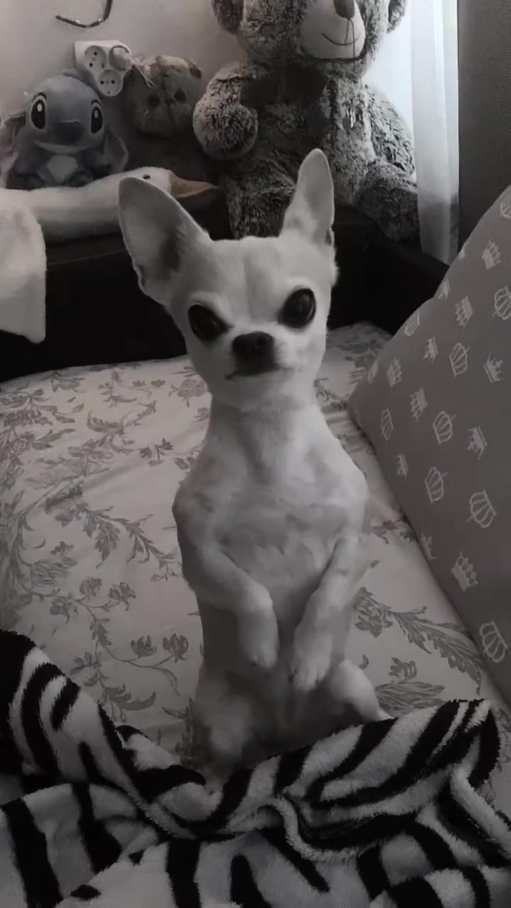@m3ll 🐾