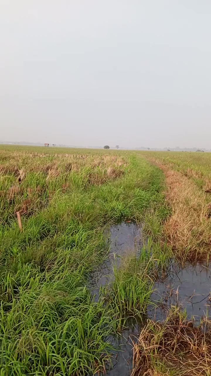 @Abd. syukur