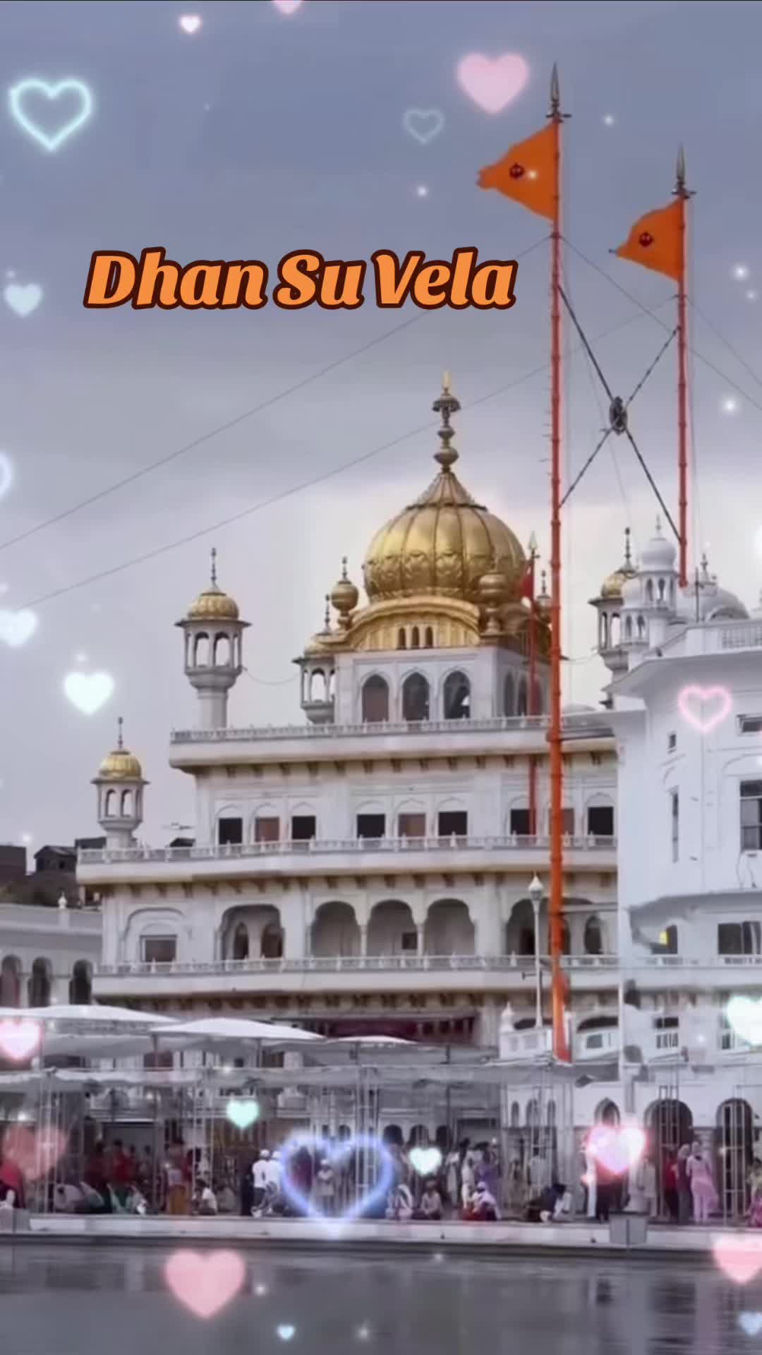@m.s.Basiala USA