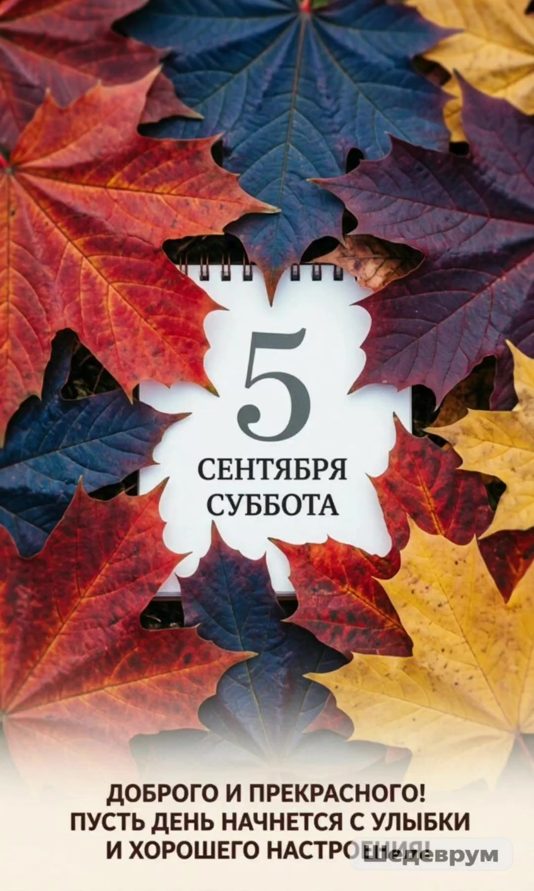 @Кхзнадин