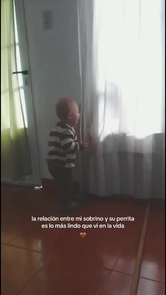 @Rocio Spilier