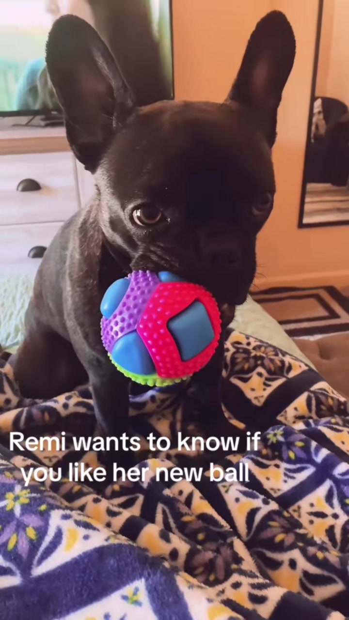 @Laurie’s-remi&delilah