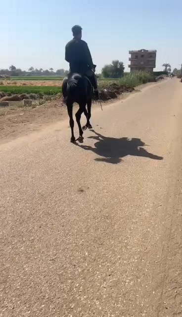 @ابو منازع🖤😎