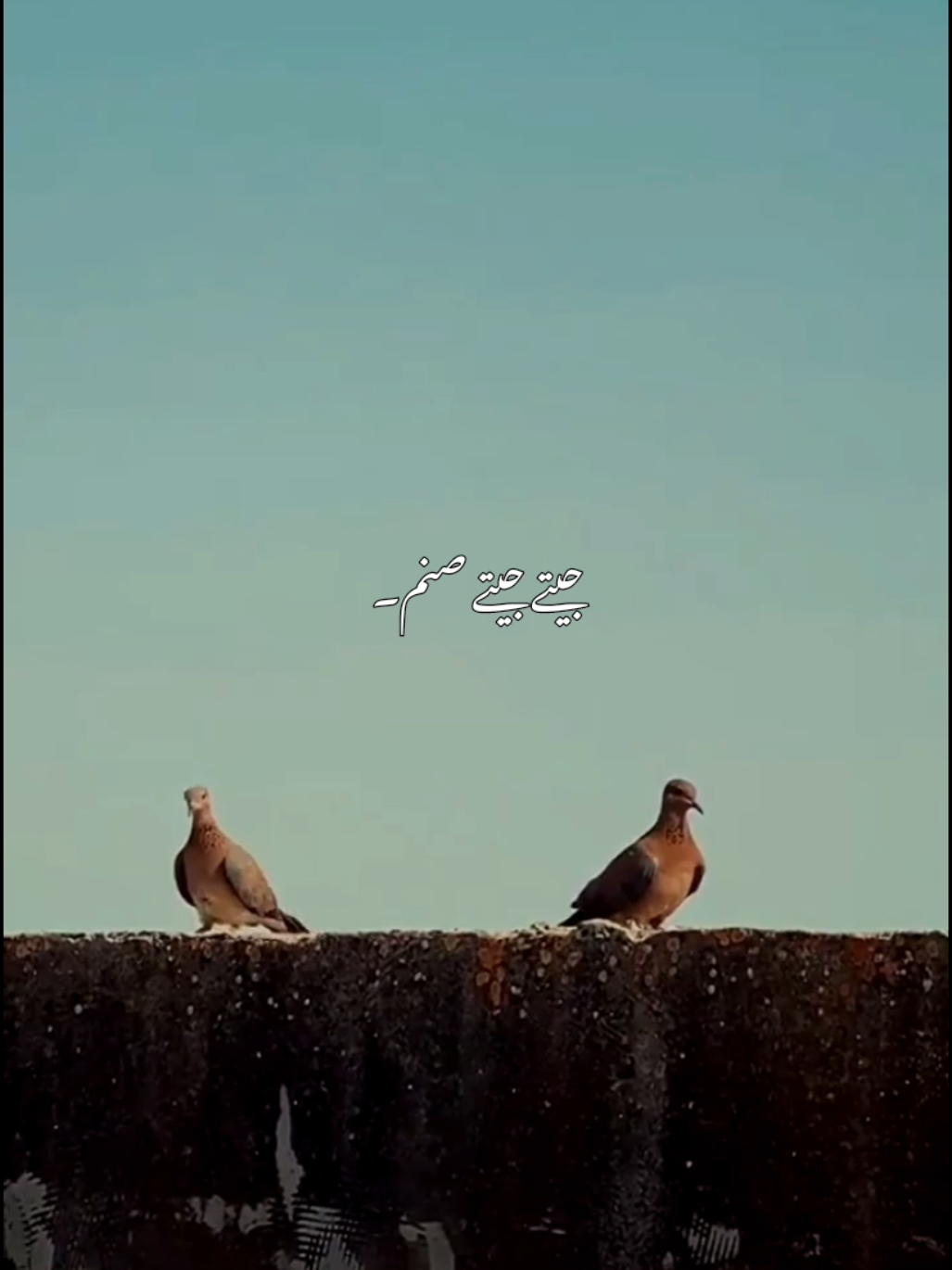 @𝘼𝙐𝙉 𝙓 𝙀𝘿𝙄𝙏𝙕