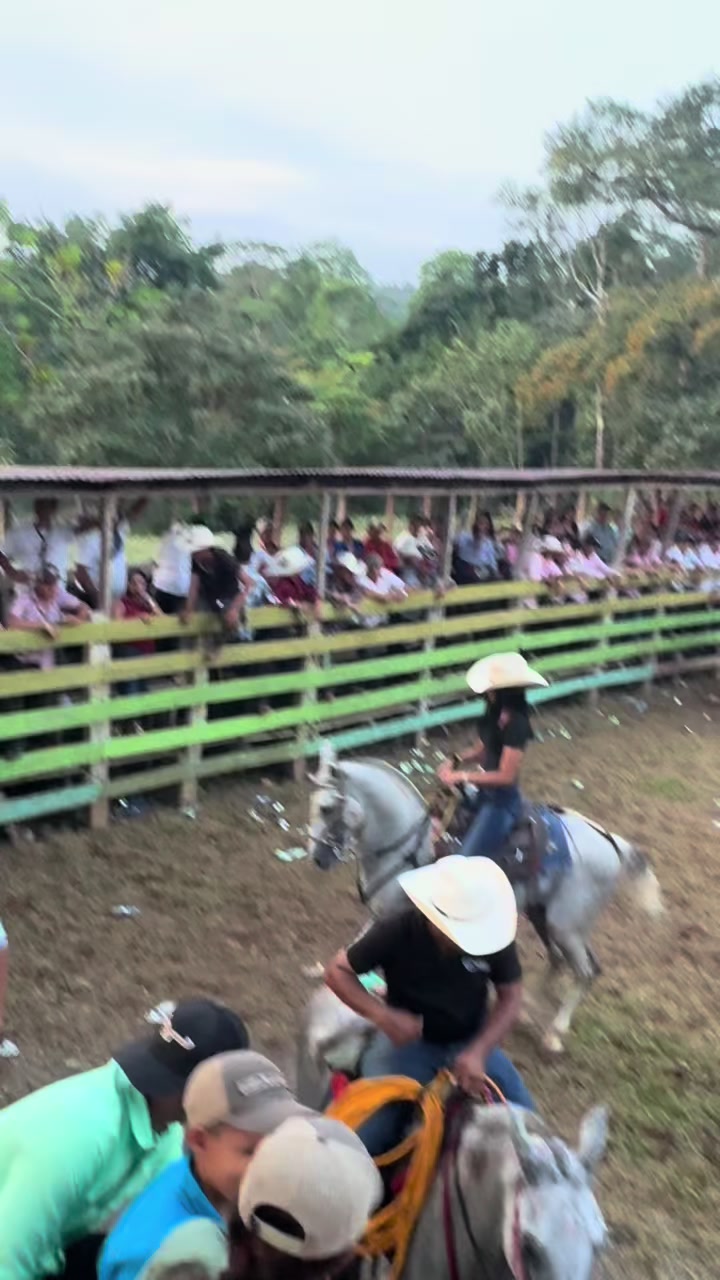 @𝑃𝑎𝑜𝑙𝑎 𝒮🌸