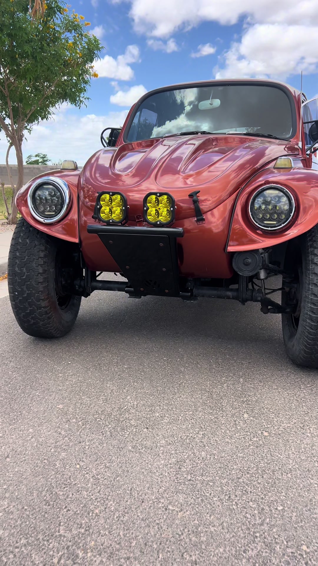 @ELGUEROPALETAS
