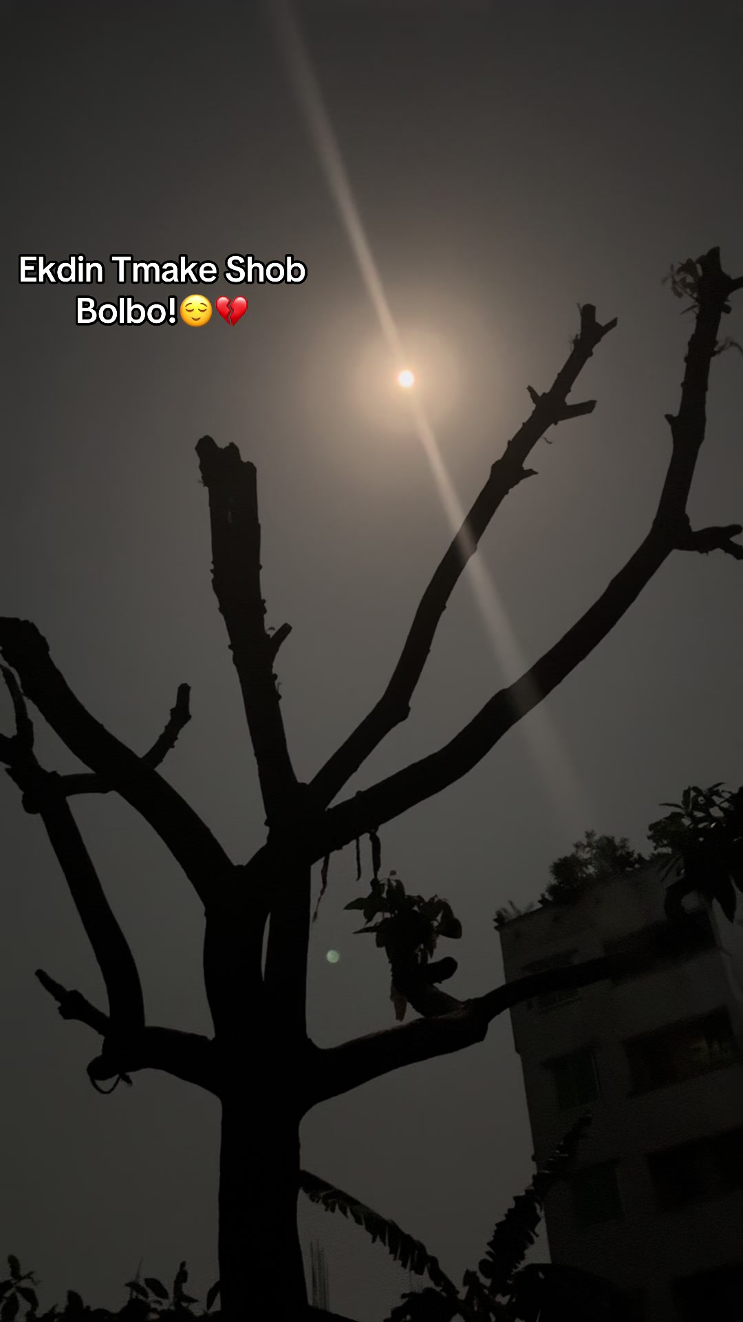 @YOUR MILO     ?