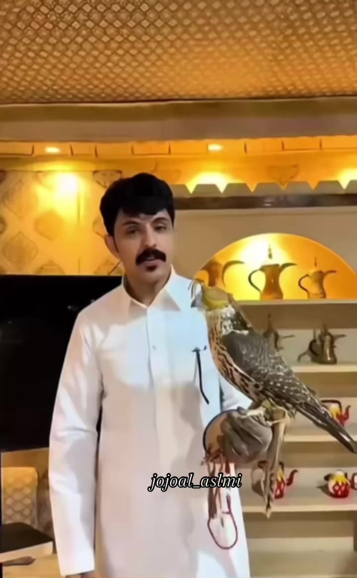 @jojo  al_aslmi