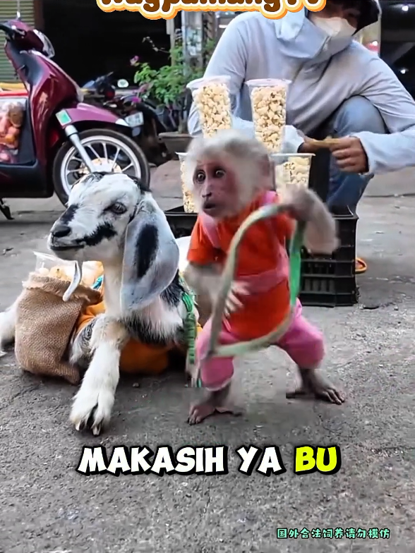 @@waypamungTV