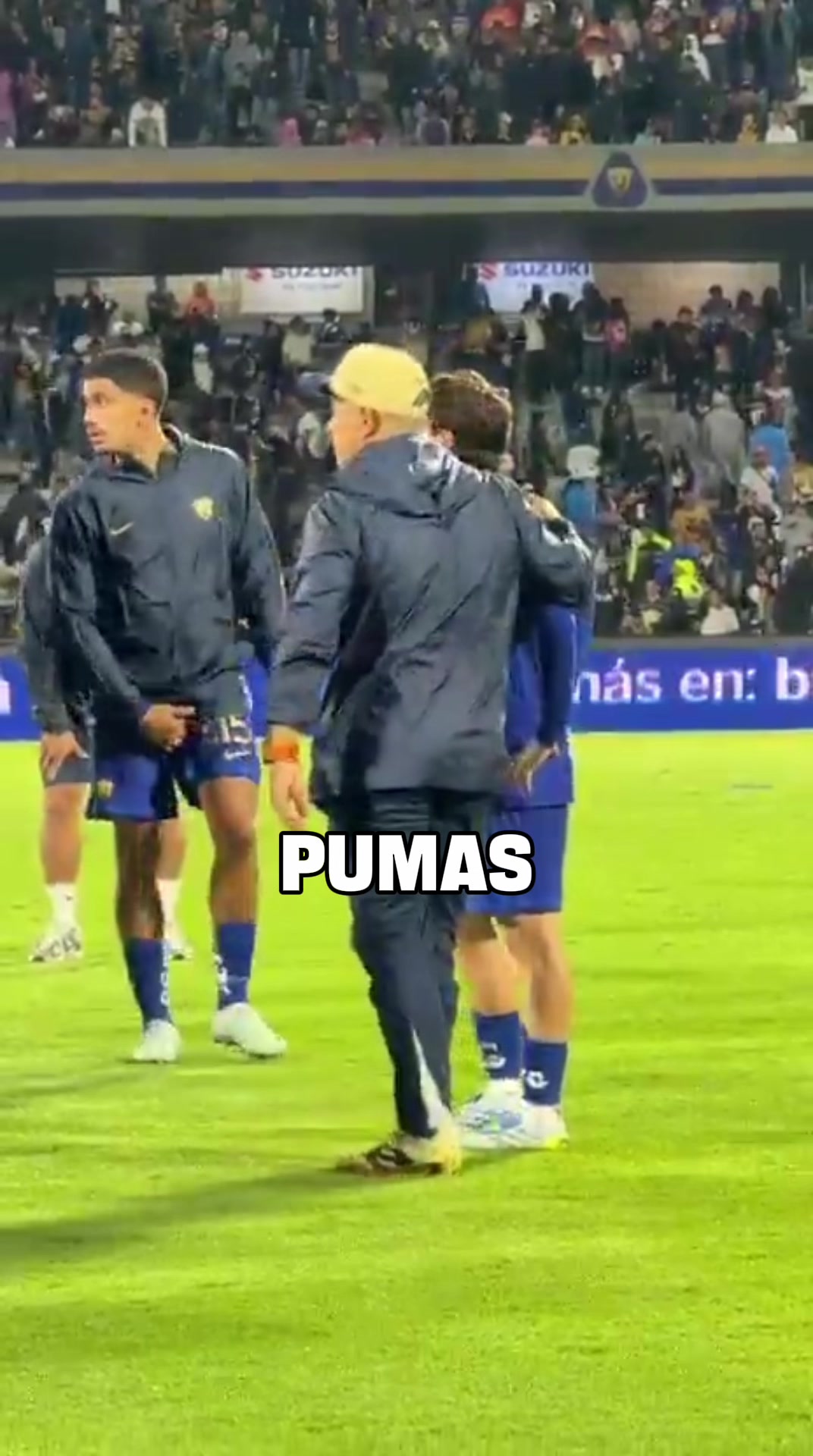 @Pedro Alem&aacute;n