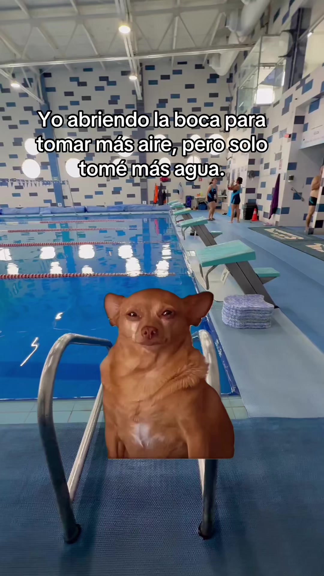 @Acu&aacute;tica Samil