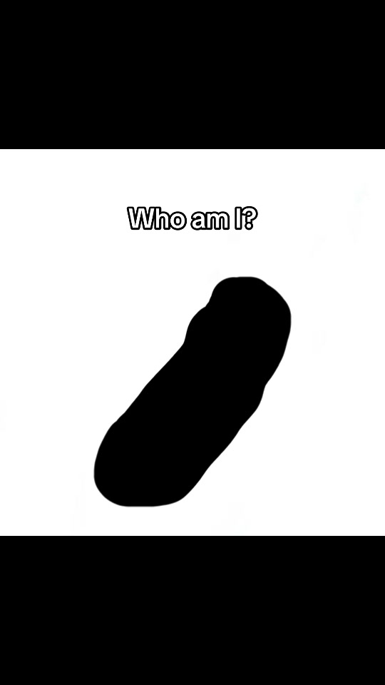 @nichepickle