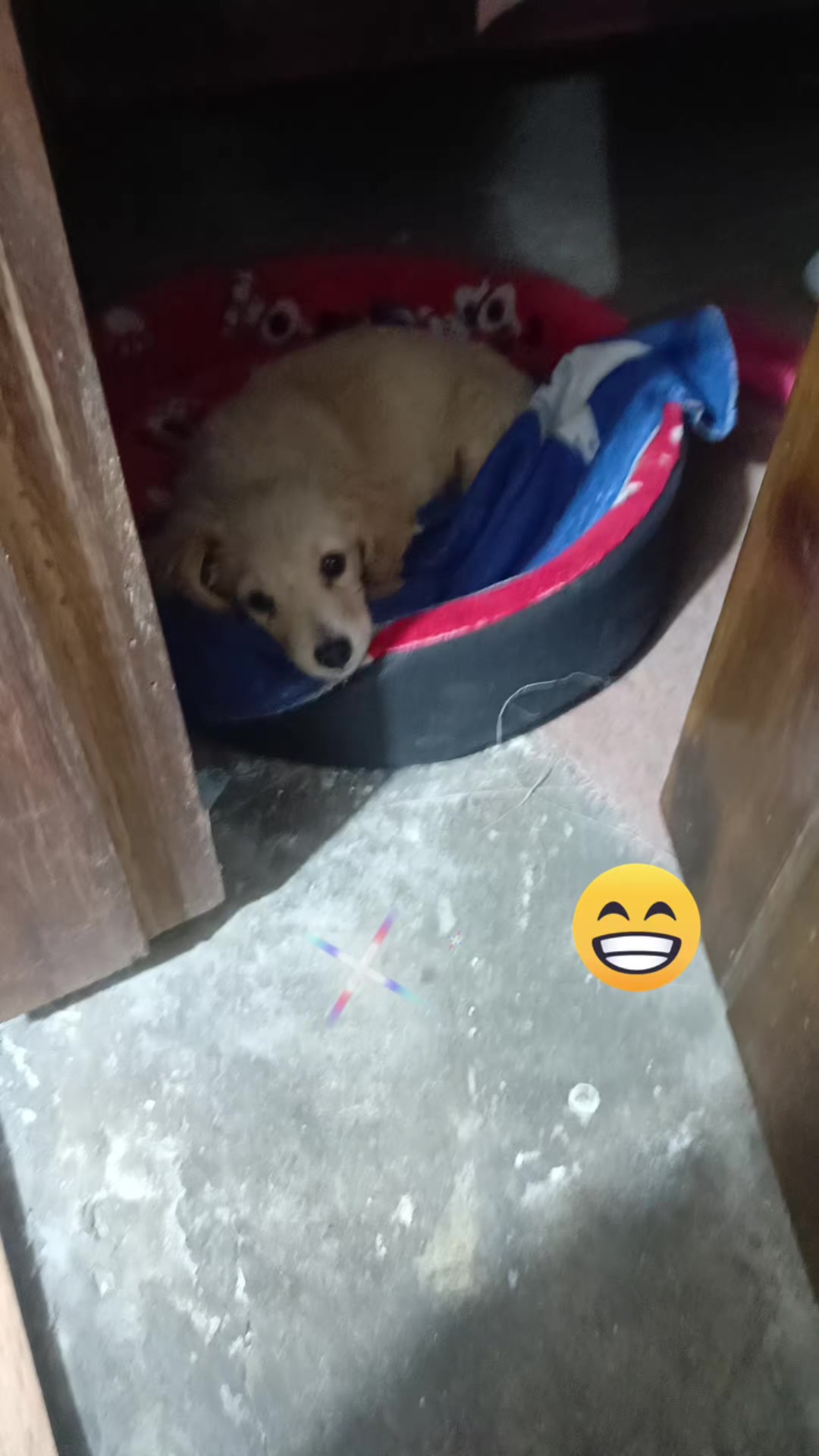 @Vilma Mallitasig 🥰