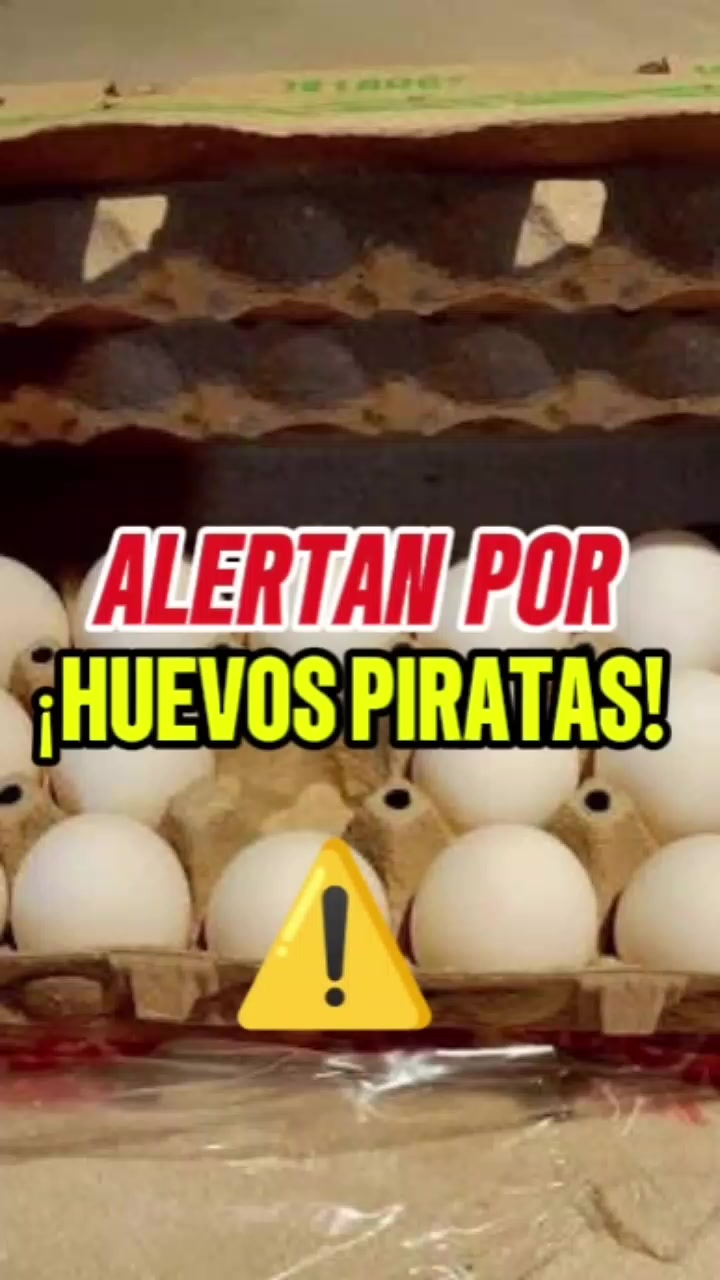 @Camino Hacia la Verdad