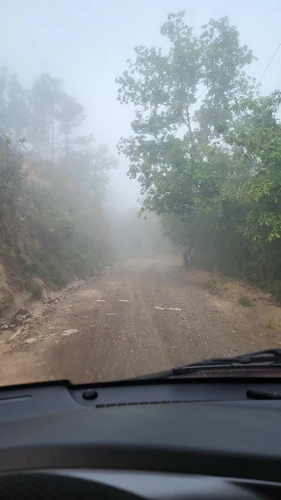 @Elíseo Rodríguez🐎
