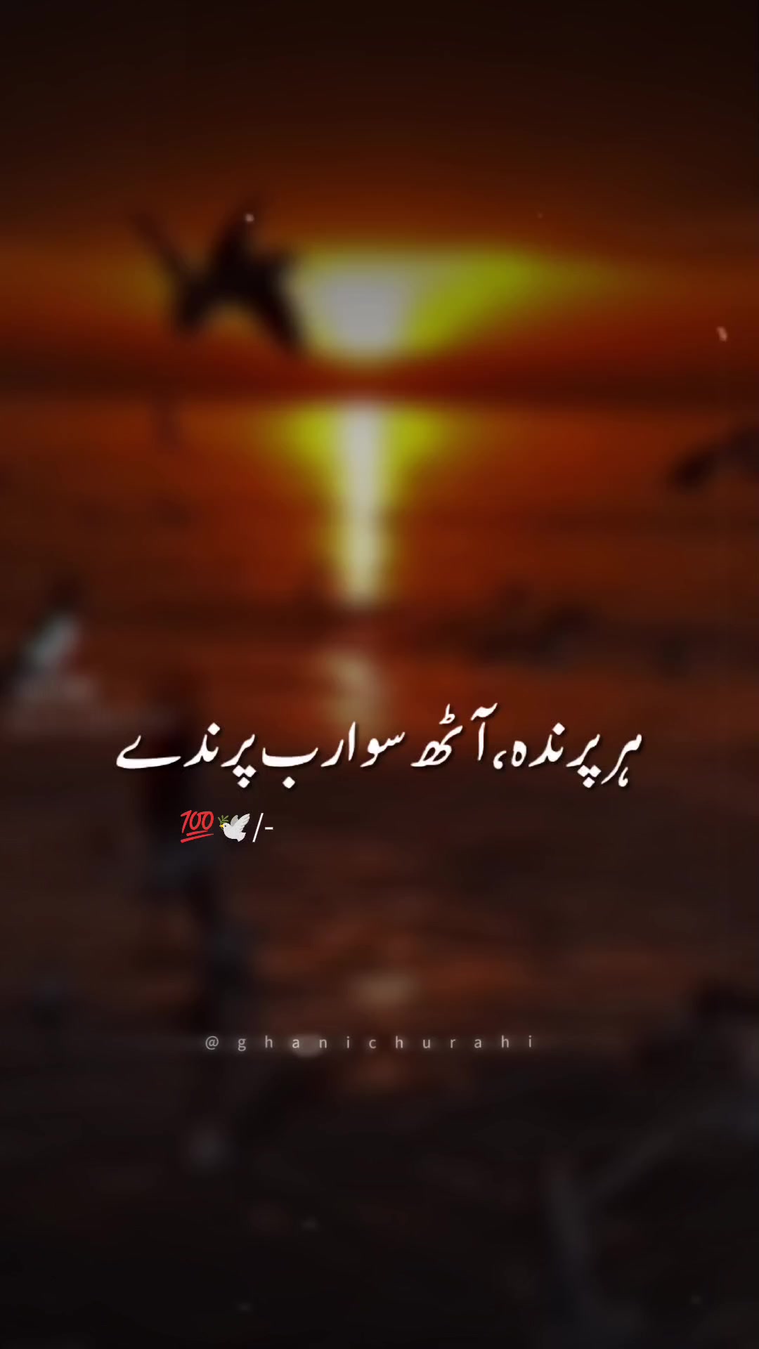@Zahid Arfan💖💖