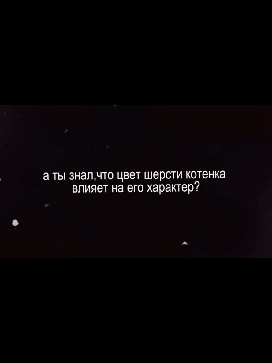 @𝚜𝚒𝚊🌙