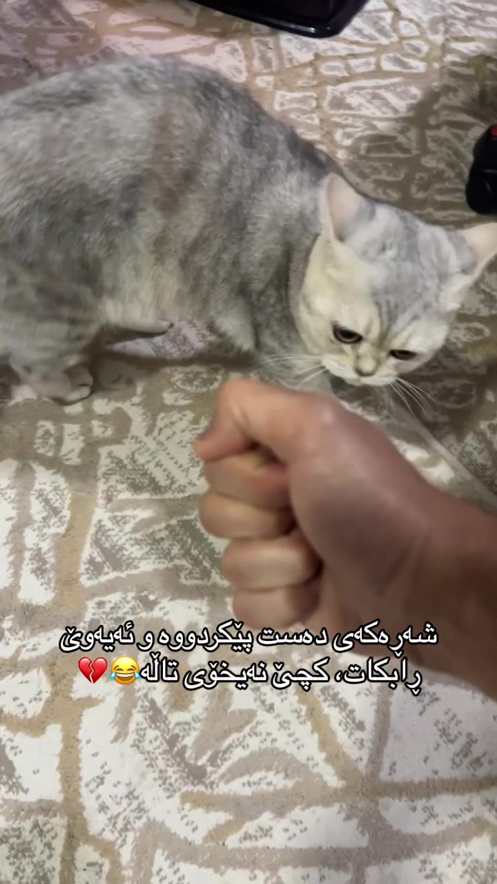 @R&rsquo;&rsquo;🌞♾️