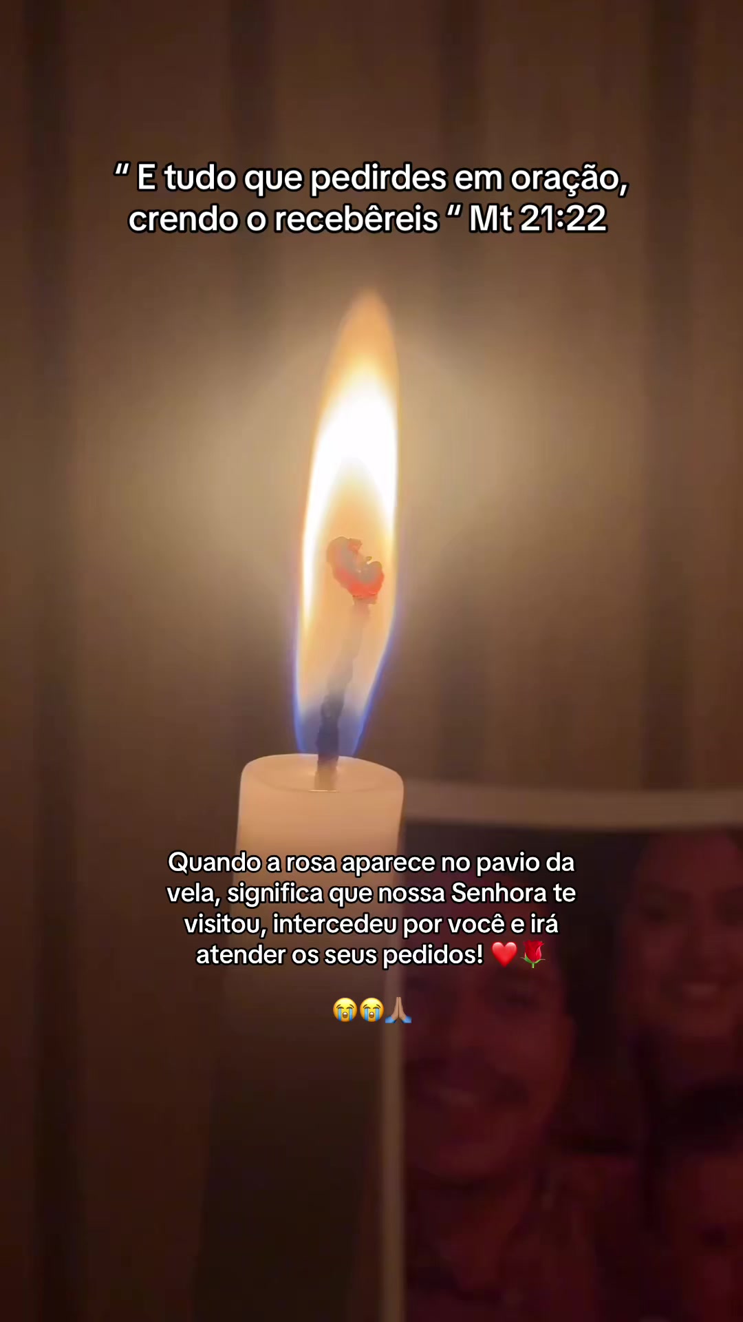 @Danise| mamãe do Bernardo 💚🤠