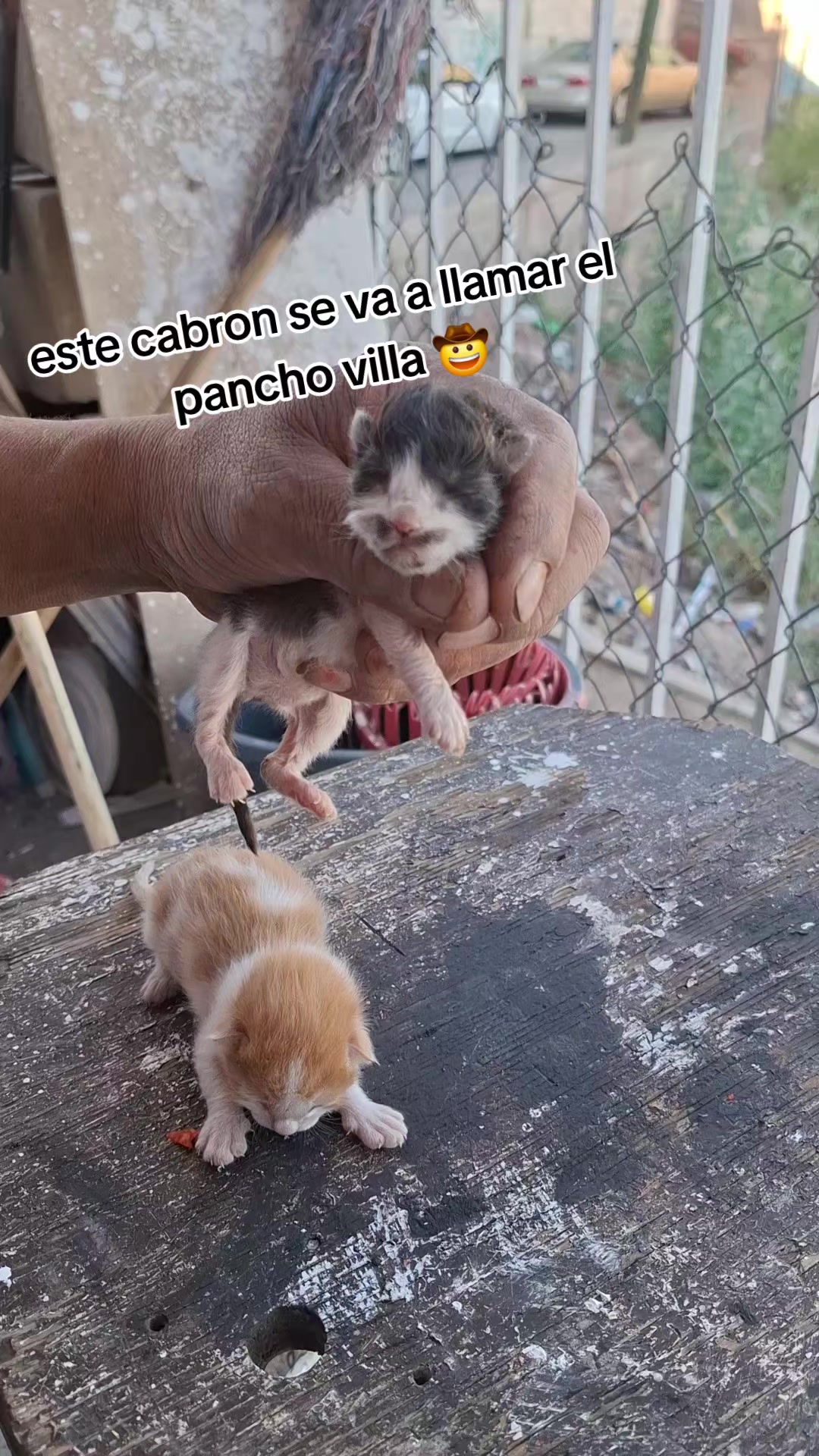 @Medina