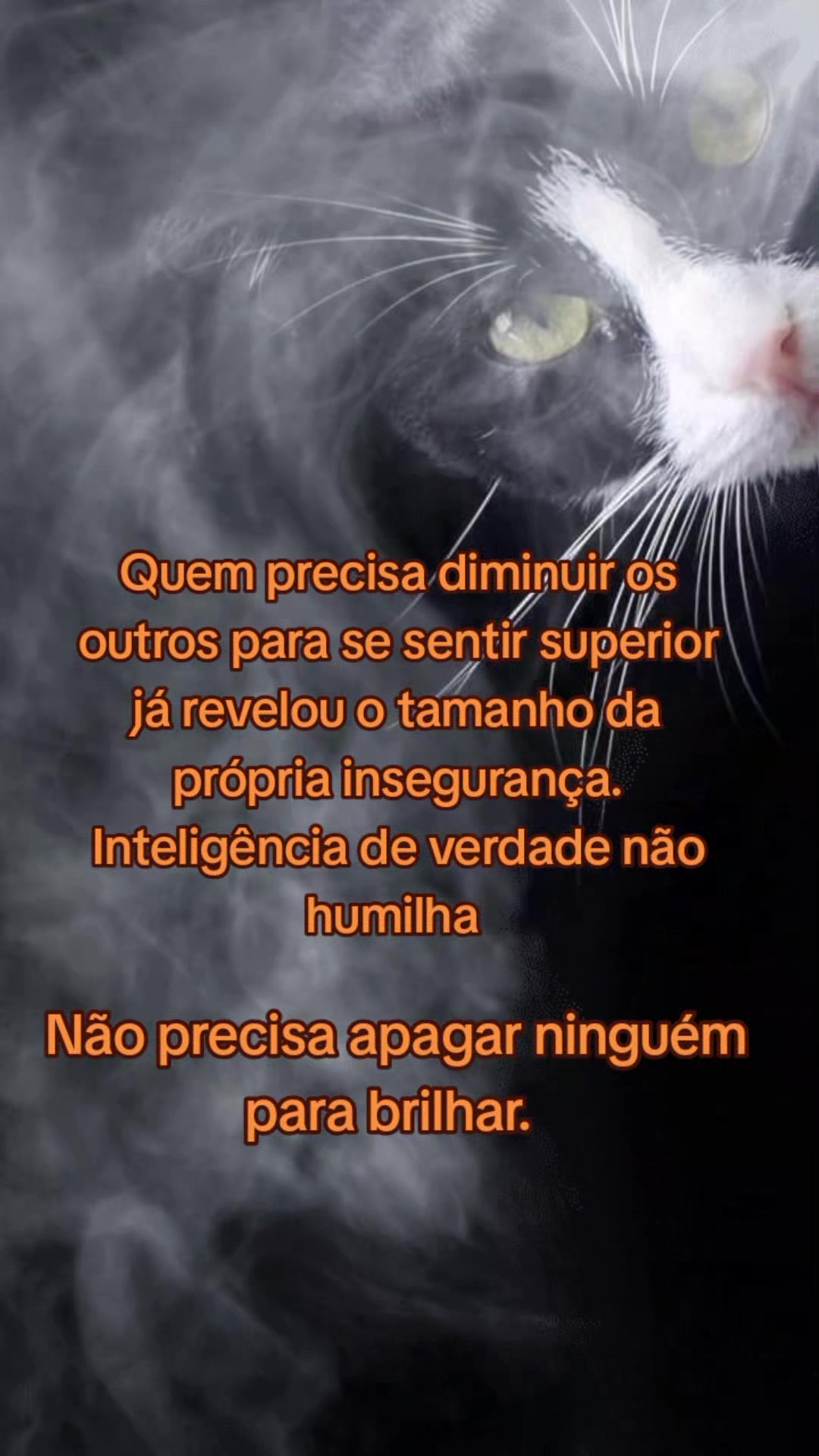 @Gato Xadrez