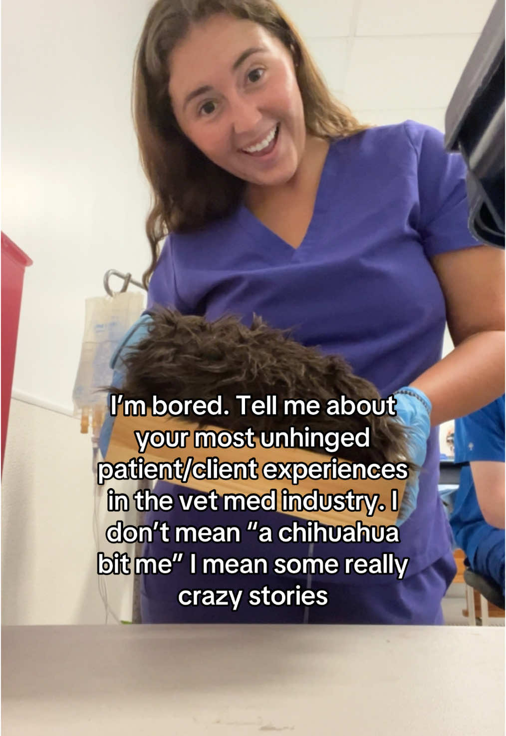 @Riley | Future Vet 🐅