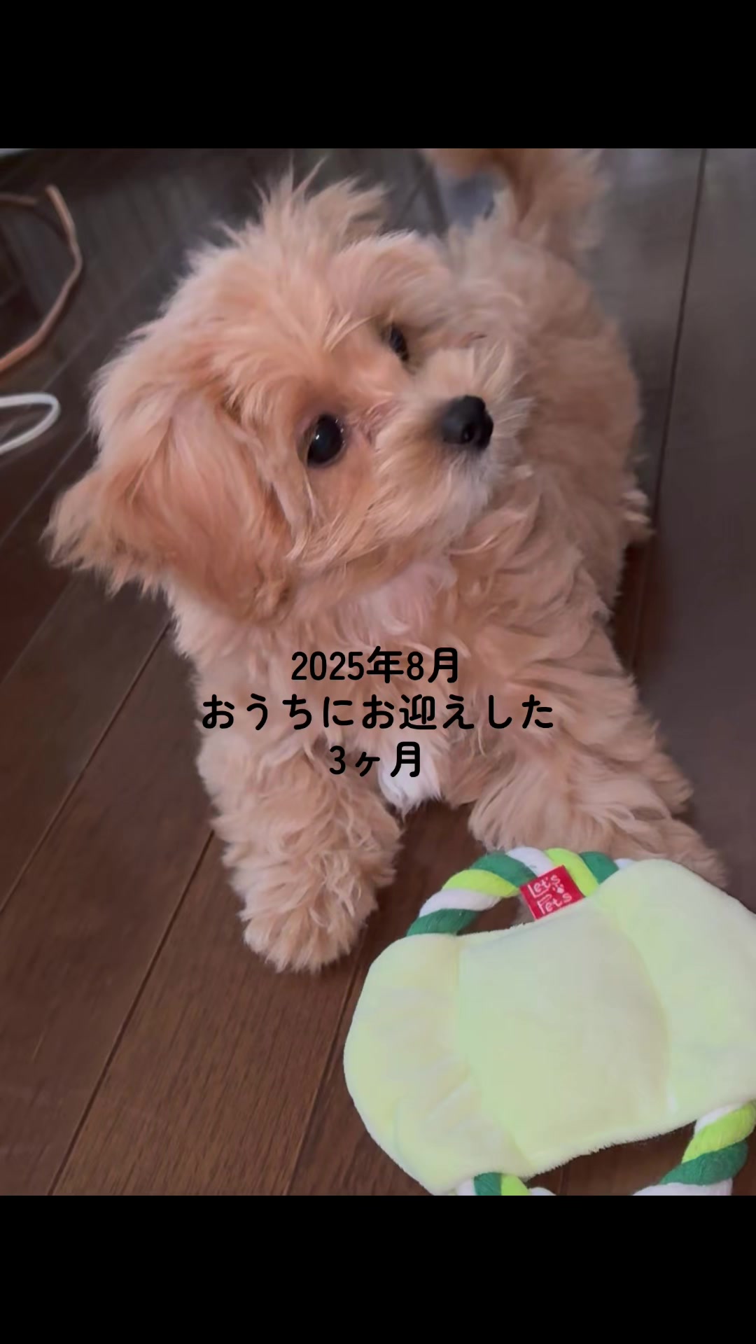 @ぱん
