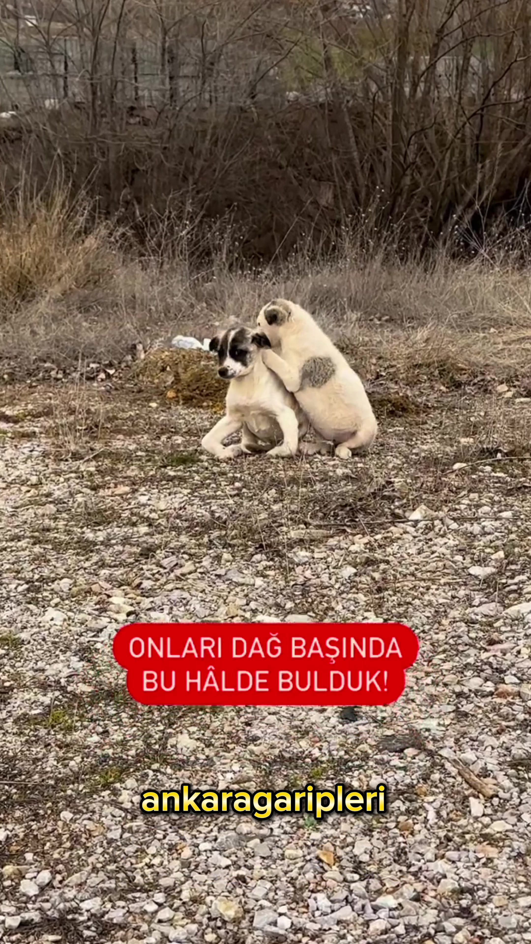 @Asiye