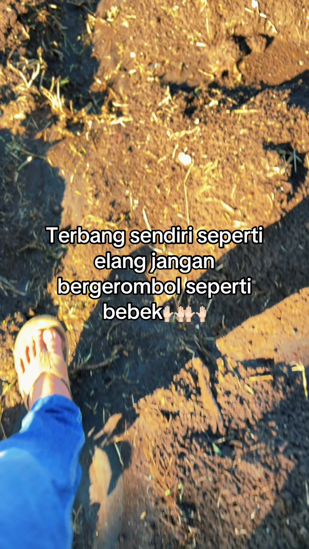 @nanda_setiawan_