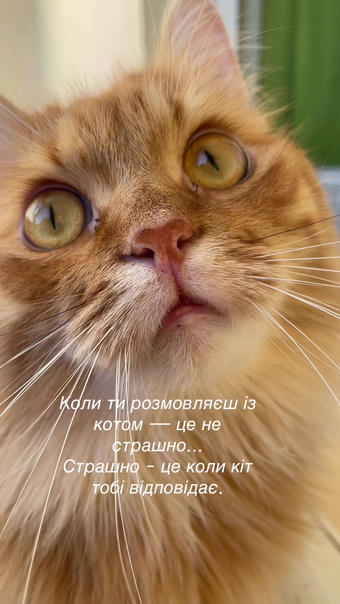 @@belirinka