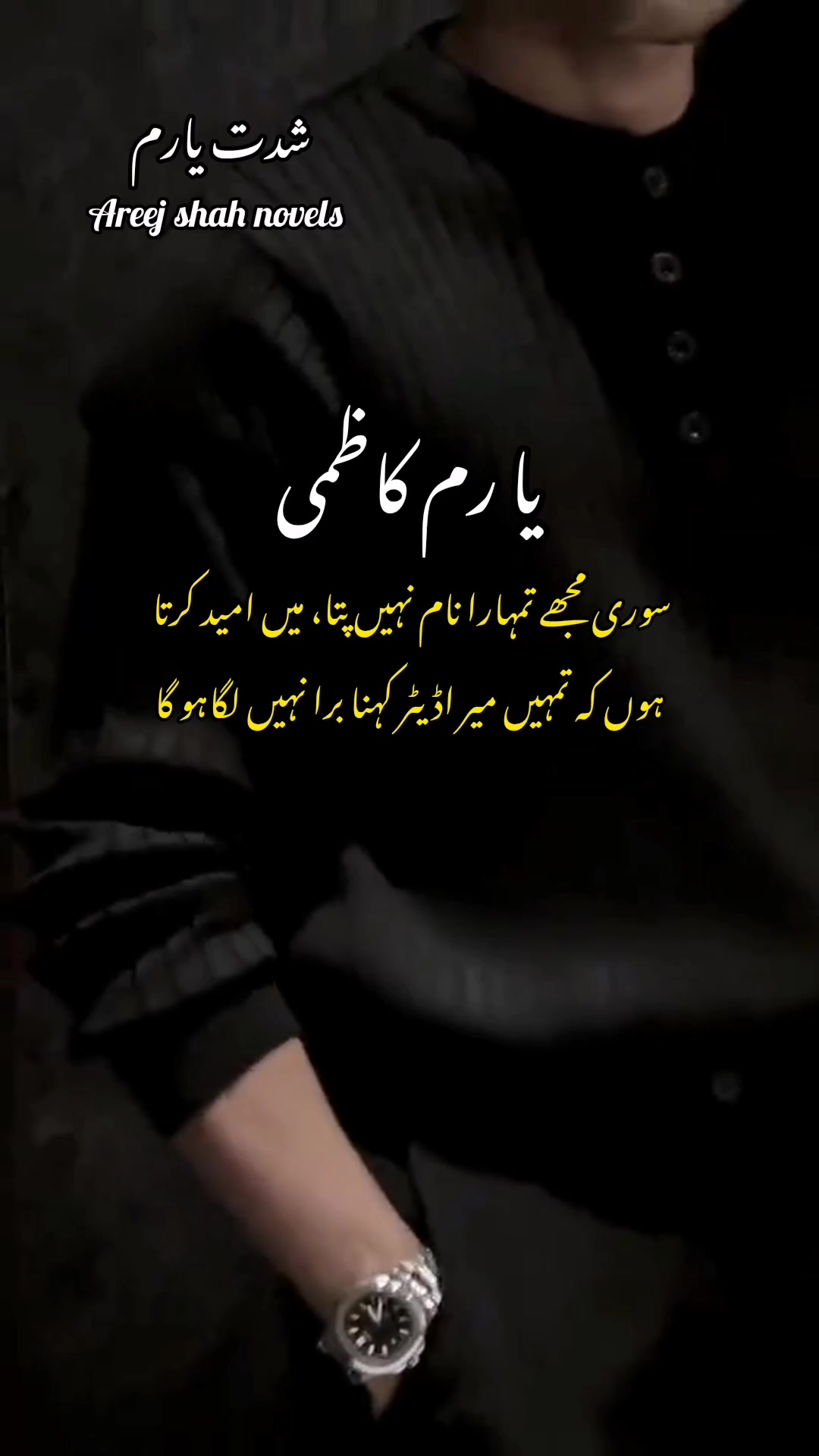 @Areej Shah Novels